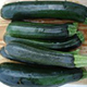 Squash: Black Beauty Zucchini