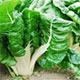 Large White Ribbed Swiss Chard