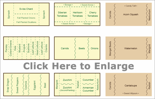 Companion Planting Chart Map And Guide Companion Gardening Map