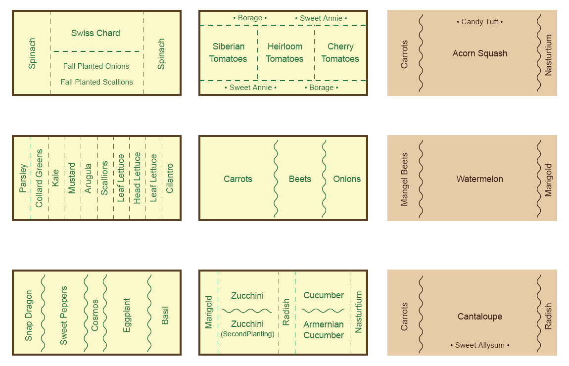 When To Plant What Vegetables Chart