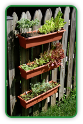 Verticle Gardening