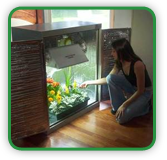 Indoor Gardening