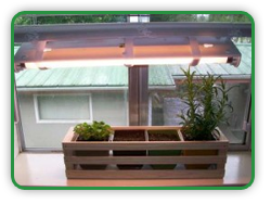 Low Light Indoor Gardening