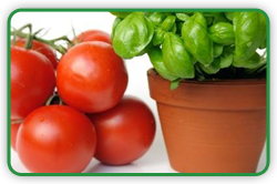 Indoor Crops