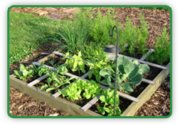 Square Foot Gardening