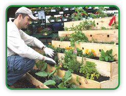 Step Gardening