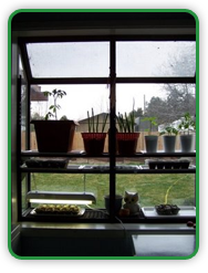 Window Garden