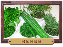 Heirloom Herb Seeds