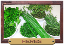 Organic Herb Seeds