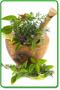 Medicinal Herbs