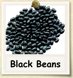 How to Grow Black Beans | Guide to Growing Black Beans