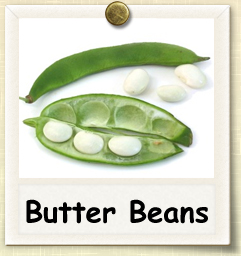 How to Grow Butter Beans | Guide to Growing Butter Beans