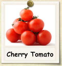 How to Grow Cherry Tomato | Guide to Growing Cherry Tomatoes