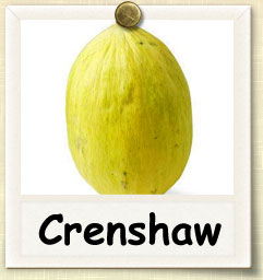 How to Grow Crenshaw Melon | Guide to Growing Crenshaw Melon