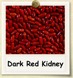 How to Grow Dark Red Kidney Beans | Guide to Growing Dark Red Kidney Beans