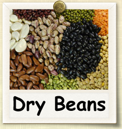 How to Grow Dry Beans | Guide to Growing Dry Beans