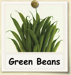 How to Grow Green Beans | Guide to Growing Green Beans