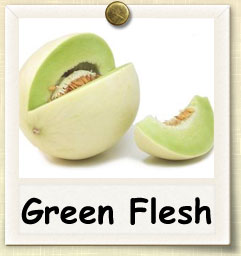 How to Grow Green Flesh Melon | Guide to Growing Green Flesh Melon