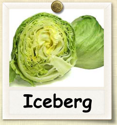 How to Grow Iceberg Lettuce | Guide to Growing Iceberg Lettuce