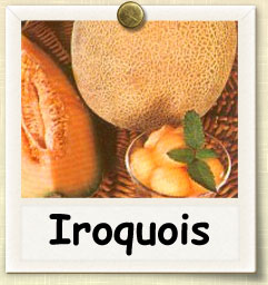 How to Grow Iroquois Cantaloupe | Guide to Growing Iroquois Cantaloupe