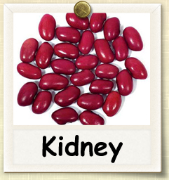How to Grow Kidney Beans | Guide to Growing Kidney Beans