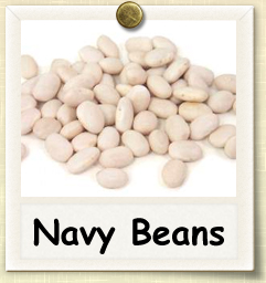 How to Grow Navy Beans | Guide to Growing Navy Beans