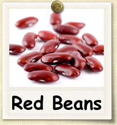 How to Grow Red Beans | Guide to Growing Red Beans