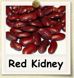 How to Grow Red Kidney Beans | Guide to Growing Red Kidney Beans