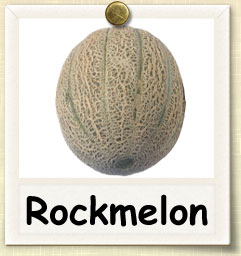 How to Grow Rockmelon | Guide to Growing Rockmelon