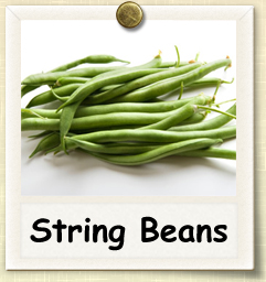 How to Grow String Beans | Guide to Growing String Beans