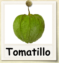 How to Grow Tomatillo | Guide to Growing Tomatillos