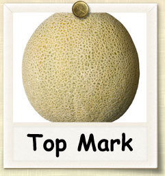 How to Grow Top Mark Melon | Guide to Growing Top Mark Melon