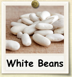 How to Grow White Beans | Guide to Growing White Beans