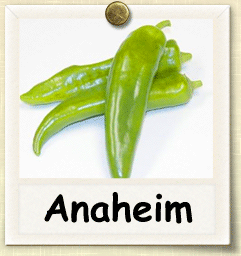 How to Grow Anaheim Pepper | Guide to Growing Anaheim Peppers