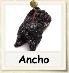 How to Grow Ancho Pepper | Guide to Growing Ancho Peppers