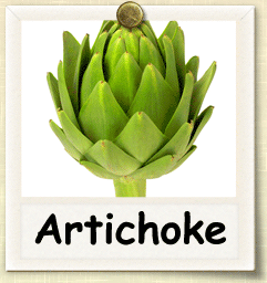 How to Grow Artichoke | Guide to Growing Artichoke