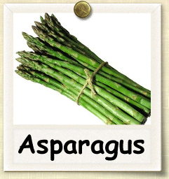 Organic Asparagus Seed – Seeds of Life