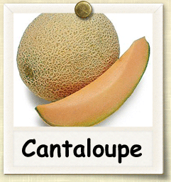 Organic Cantaloupe Seed | Seeds of Life
