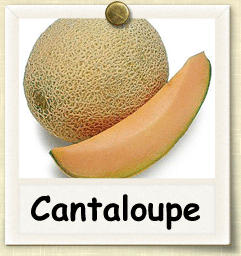 How to Grow Cantaloupe | Guide to Growing Cantaloupe