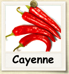 How to Grow Cayenne Pepper | Guide to Growing Cayenne Peppers