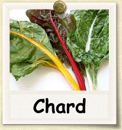 Organic Chard Seed | Seeds of Life