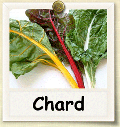 Heirloom Chard Seed - Seeds of Life