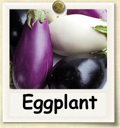 Organic Eggplant Seed | Seeds of Life