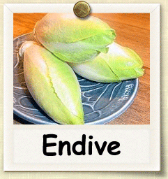 How to Grow Endive | Guide to Growing Endive