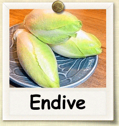 Organic Endive Seed | Seeds of Life