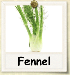 Heirloom Fennel Seed - Seeds of Life