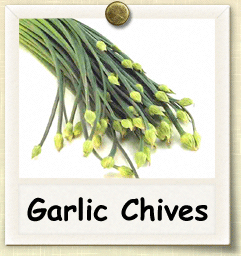 How to Grow Garlic Chives | Guide to Growing Garlic Chives