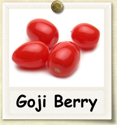 How to Grow Goji Berry | Guide to Growing Goji Berries