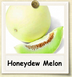 Heirloom Honeydew Melon Seed - Seeds of Life