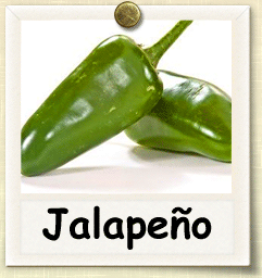 How to Grow Jalapeño Pepper | Guide to Growing Jalapeño Peppers